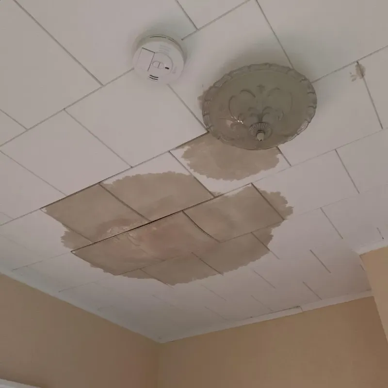 Ceiling Water Damage Repair in Jones County, SD