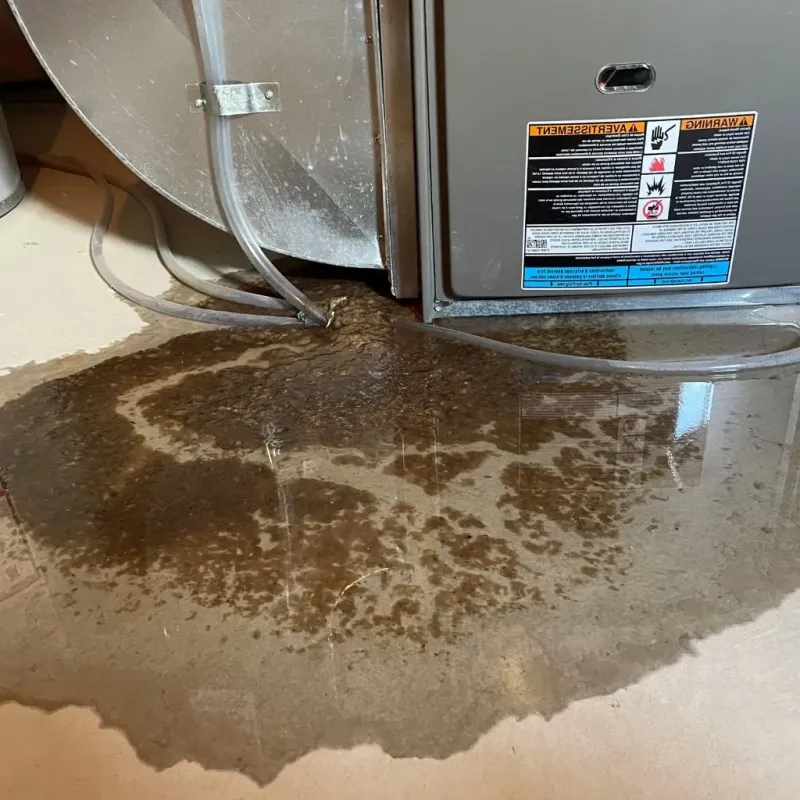 Pipe Burst and Leak Restoration in Jones County, SD