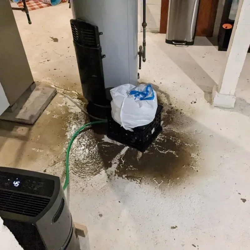 Sewage Backup Cleanup Service in Jones County, SD